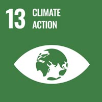 Sustainability Goal 13 - Climate Change (icon)