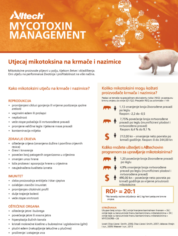 Utjecaj mikotoksina na svinje