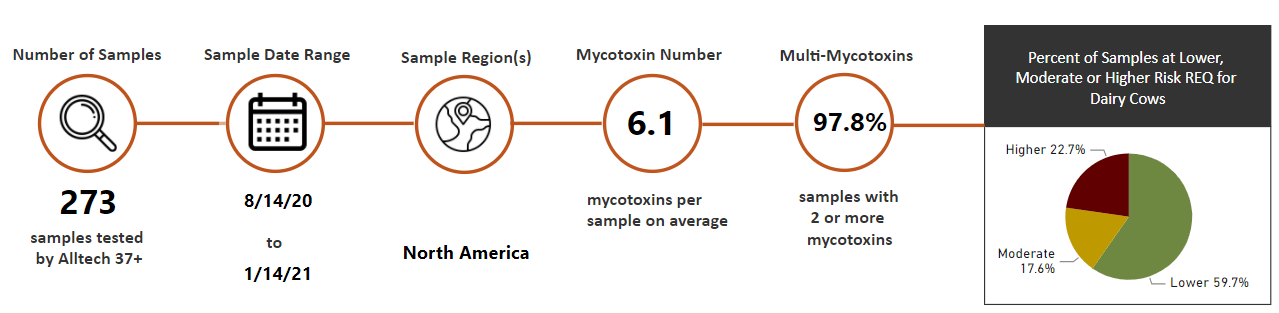 "dairy cow mycotoxin risk chart"
