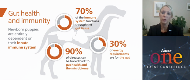 "Pet Gut health and immunity"
