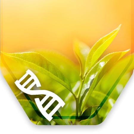 plant process icon