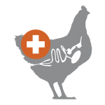 rectify poultry gut health icon