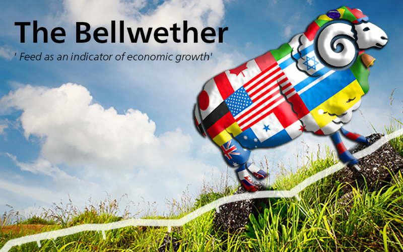 The Bellwether: Animal feed as an early indicator of global economic trends
