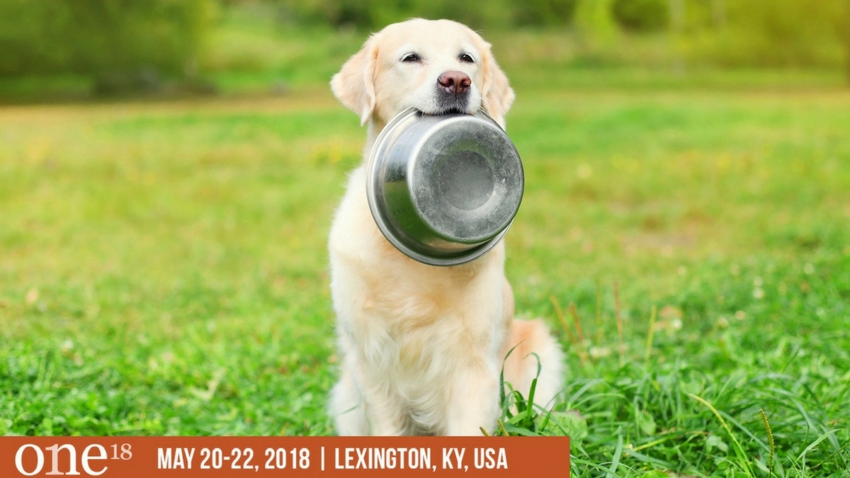 ONE: The Alltech Ideas Conference invites pet industry experts to explore the transformative power of ideas 