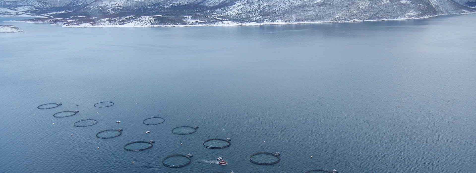 Alltech Aquaculture | Working Together for a Planet of Plenty
