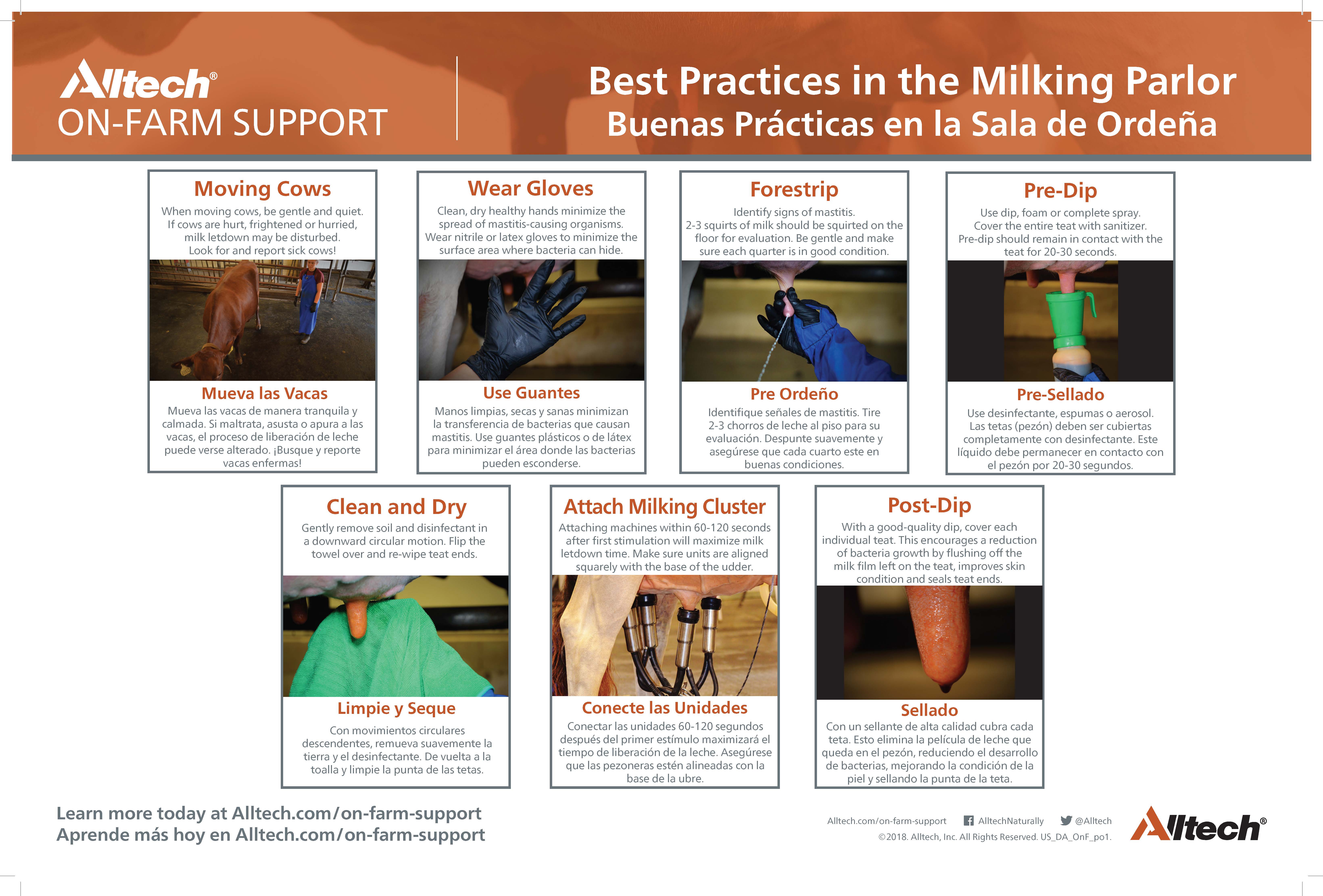 Best Practices in the Milking Parlor (English & Spanish) pdf thumbnail image