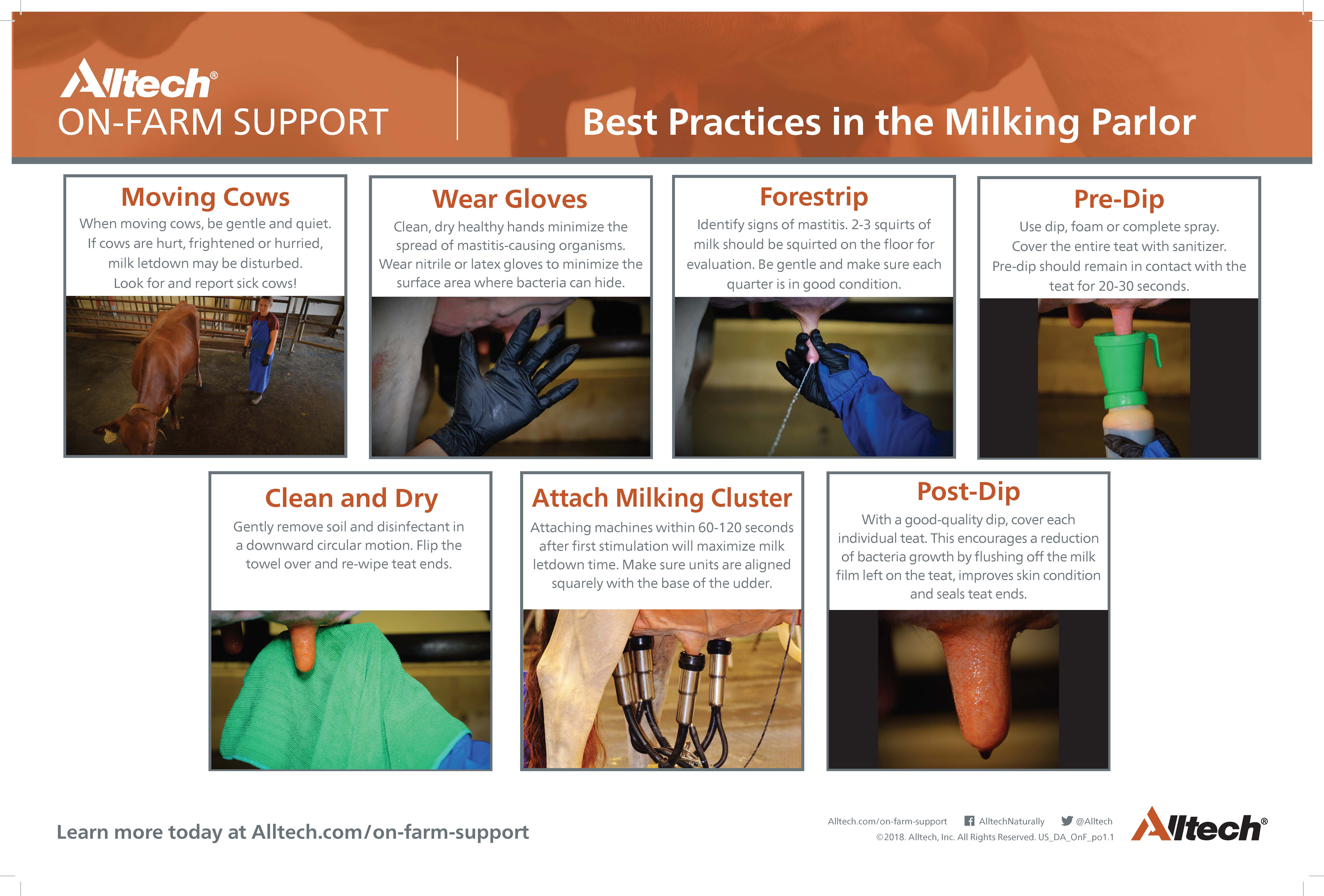 Best Practices in the Milking Parlor pdf thumnail image