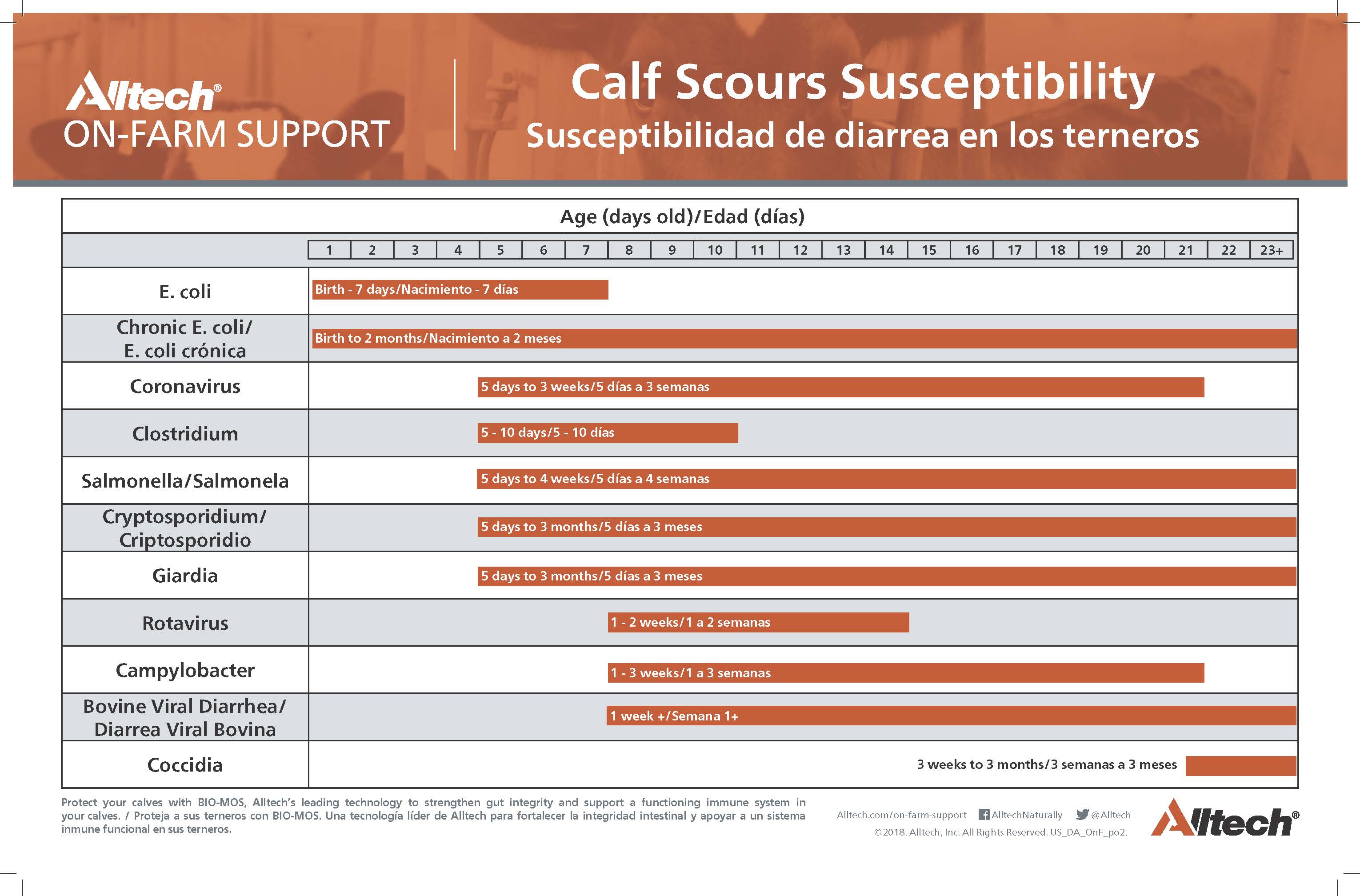 Calf Scours Susceptibility poster pdf thumbnail image