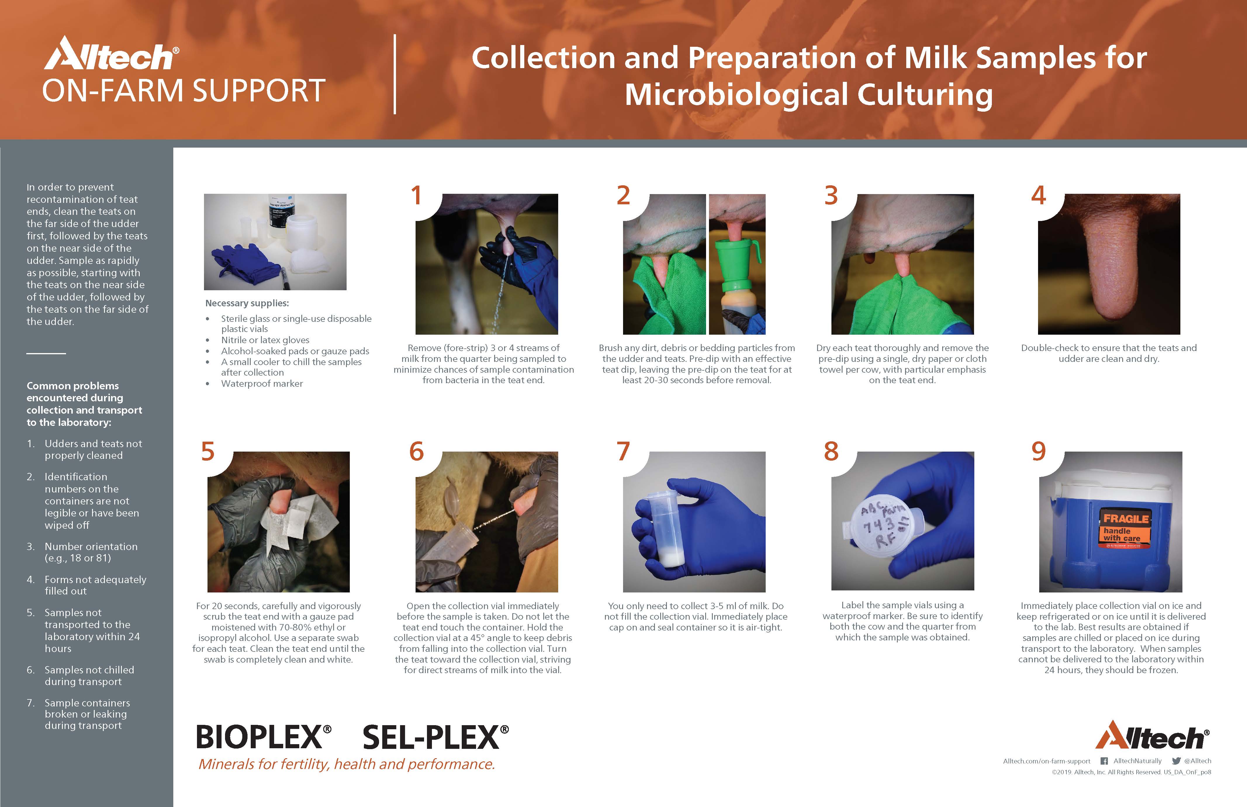 Collection and Preparation of Milk Samples for Microbiological Culturing (PDF - English)