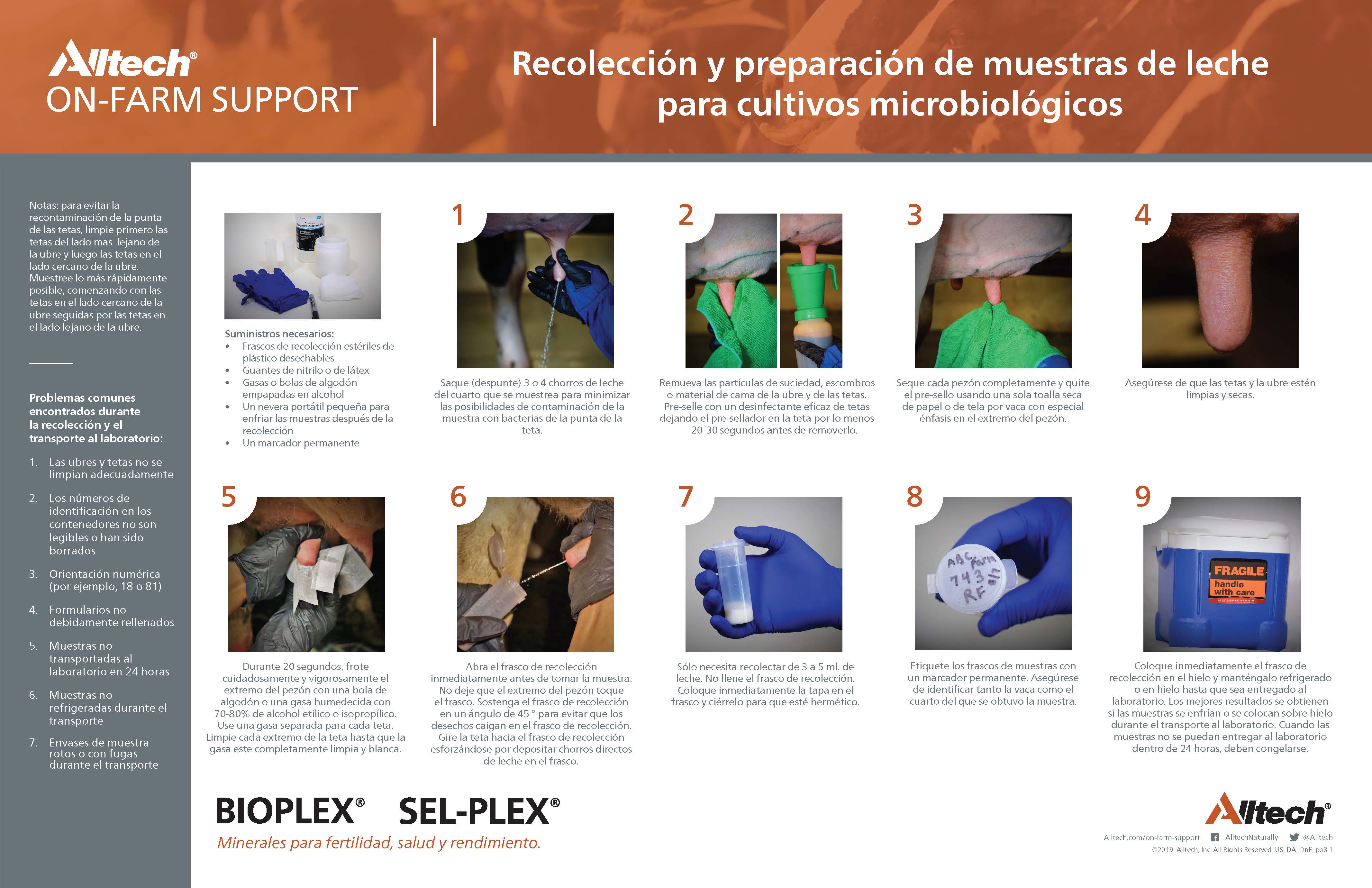 Recolección y preparación de muestras de leche para cultivos microbiológicos (PDF - Español)
