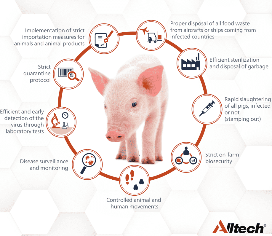 Key facts about African swine fever (ASF) | Alltech