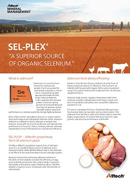 Sel-Plex - All Species Flyer 2020 thumbnail image