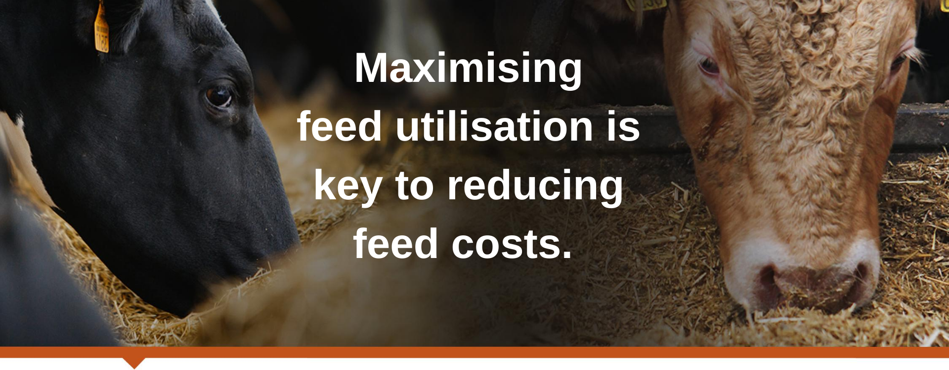 Undigested feed means wasted performance