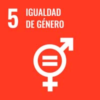 Sustainability Goal 5 - Gender Equality (icon)