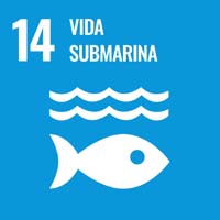 Sustainability Goal 14 - Life Below Water (icon)