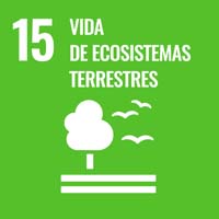 Sustainability Goal 15 - Life on Land (icon)