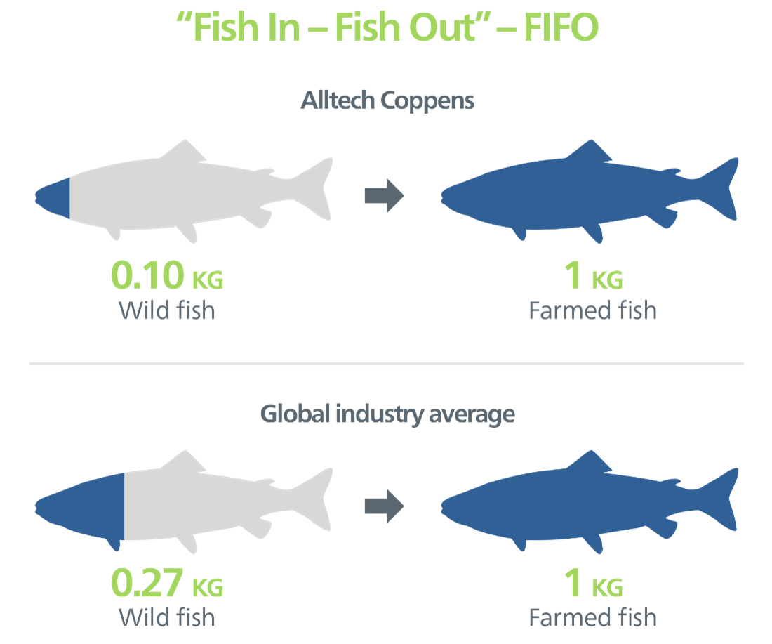 Infographic showing Alltech Coppens sustainable impact on aquafeed