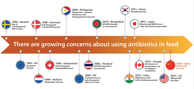 "antibiotics in poultry feed timeline"