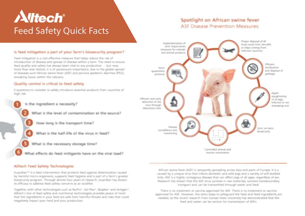 Feed-Safety-Quick-Facts-pig-FINAL.jpg