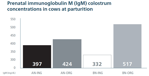 "Prenatal immunoglobulin colostrum concentrations in cows at parturition"