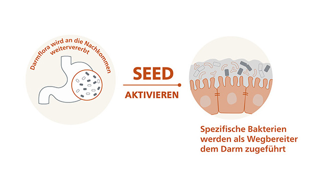 seed graphic