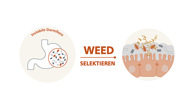 weed graphic