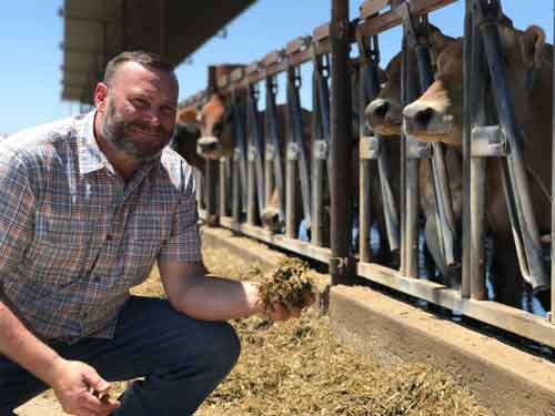 Alltech Cow Comfort On Farm Dairy Support