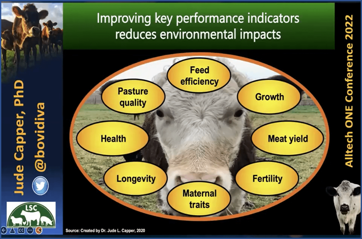 "reducing environmental impact of beef"