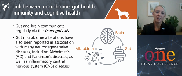 "Pet microbiome"