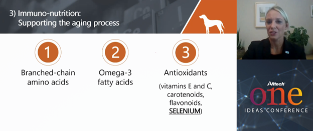 "pet omega-3 fatty acids"