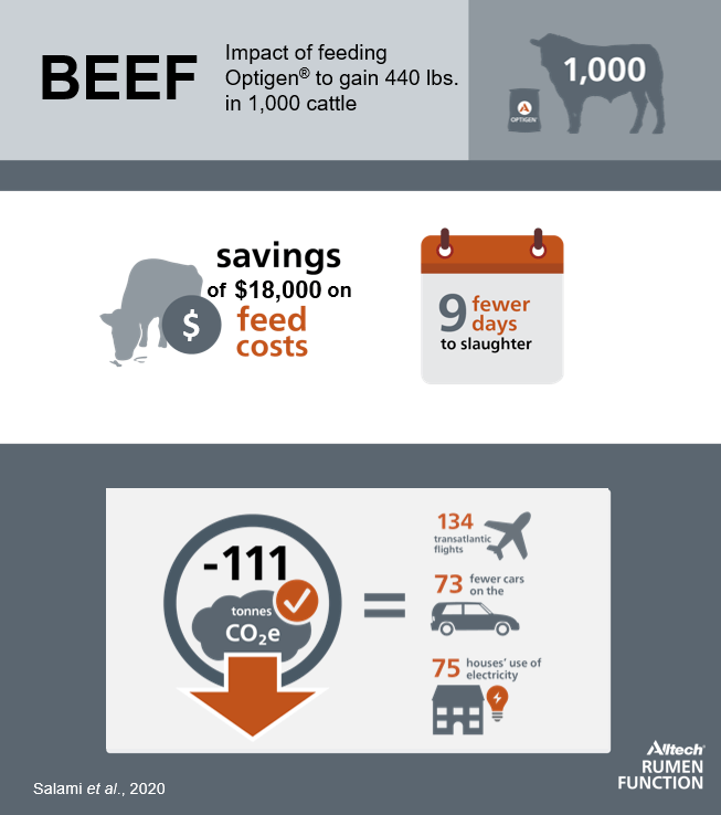 "Beef cattle cost savings"
