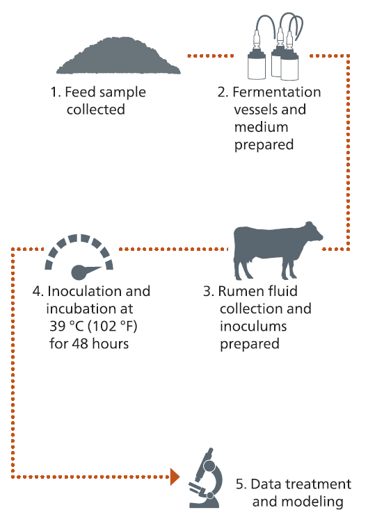 Alltech IFM how it works infographic