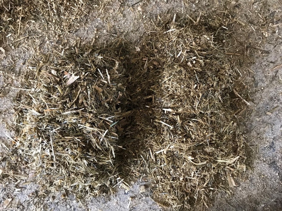 The difference in ration presentation from the start (pictured left) to the end (pictured right) of the feed trough/feed-out.