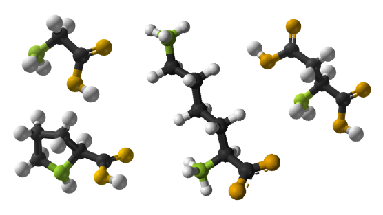 amino acids 2 .jpg.png