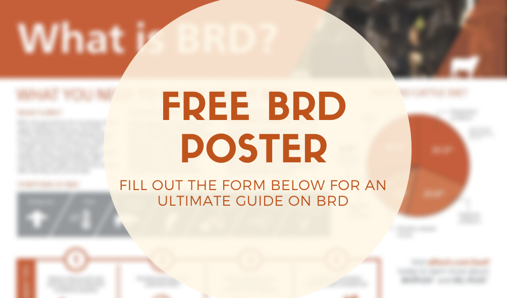 Free poster on symptoms, prevention, and treatments of bovine respiratory disease (BRD)