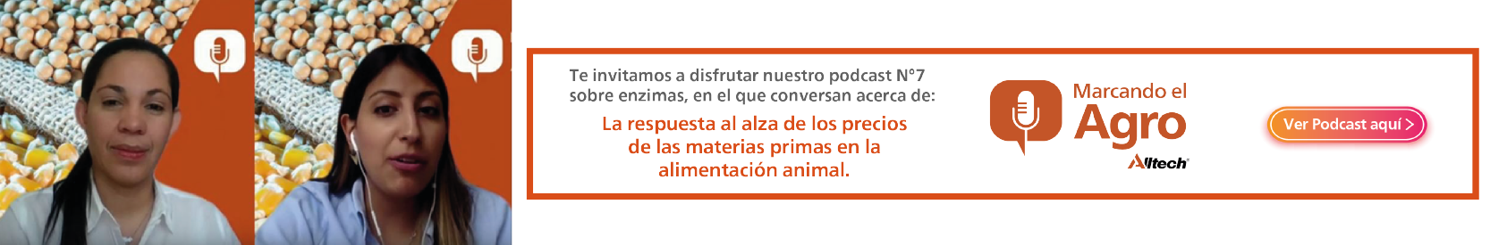 Podcast Precios de materias primas en la alimentación animal.