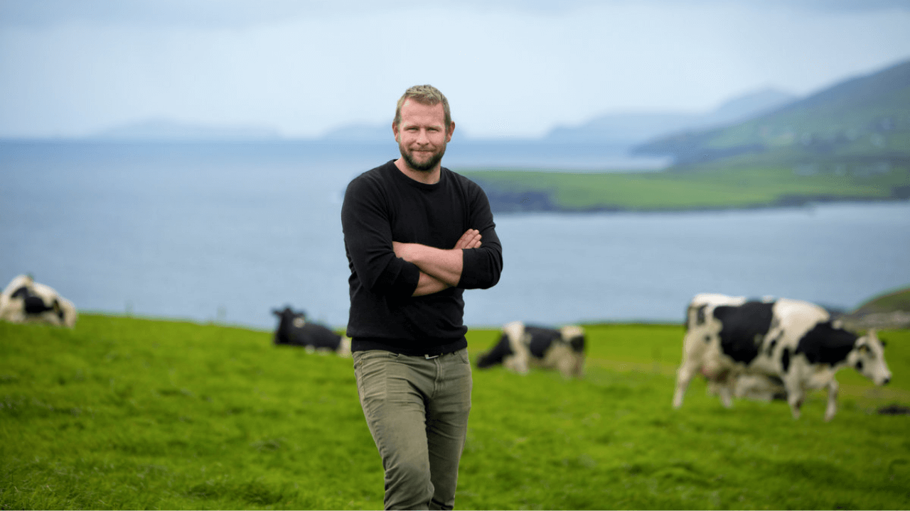 Man on the coast of Ireland with dairy cows