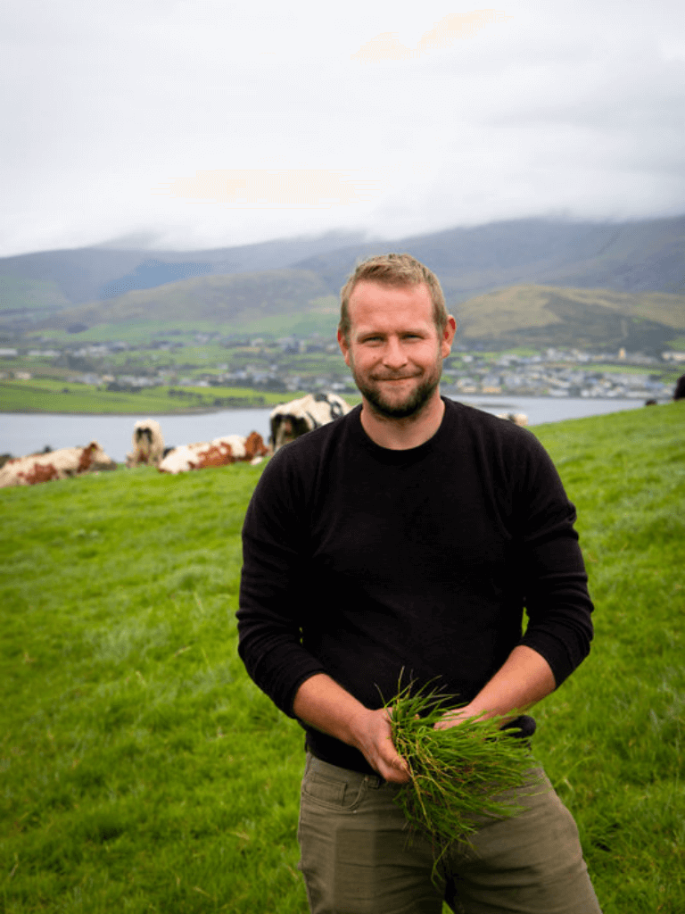 Man on the coast of Ireland holding grass with dairy cows