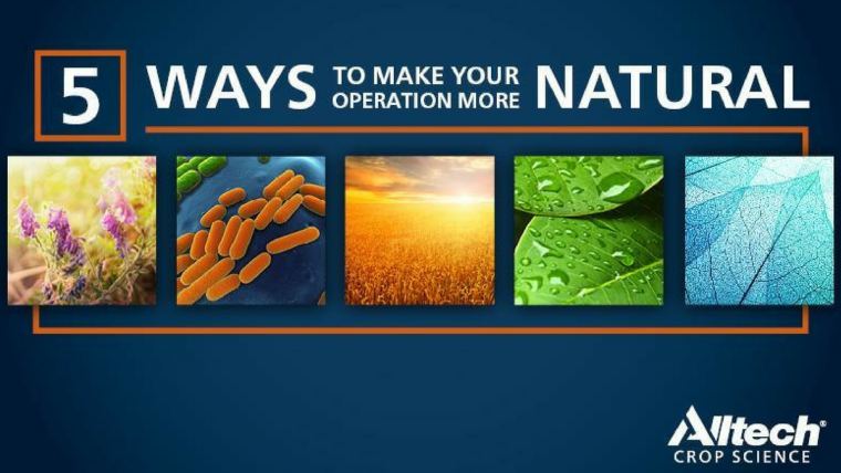Five ways to make your crop operation more natural