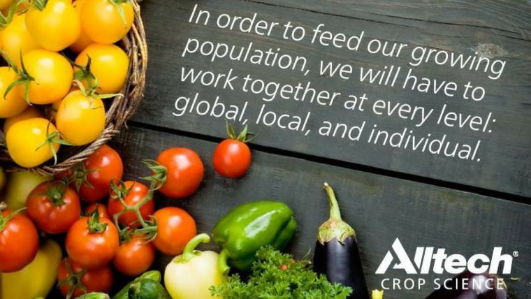 An abundant & nutrient-rich food supply for 2050