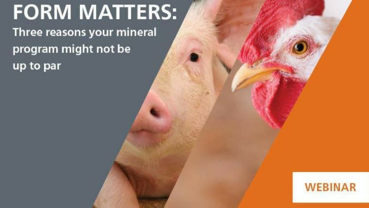 For pigs and poultry, mineral form matters