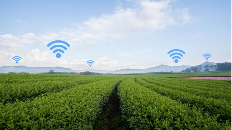 ferme intelligente technologies agriculture