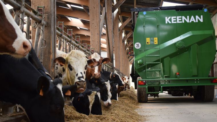 Rumen Acidosis: Managing the Transition Period of the Modern Dairy Cow