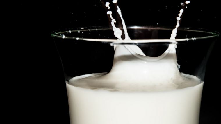 The Role of Grass in Modern Milk Production