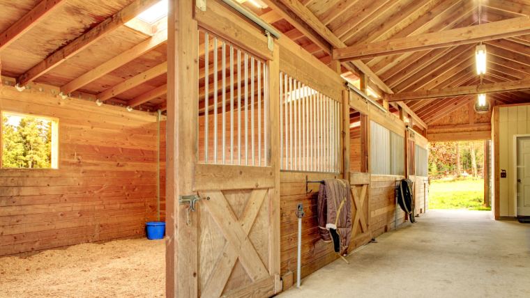 How Much to Charge for Horse Stall Cleaning 