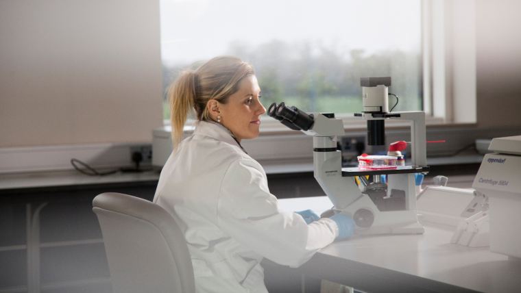Alltech researcher, uses an inverted microscope to observe cells within the cell culture laboratory in Dunboyne, Ireland