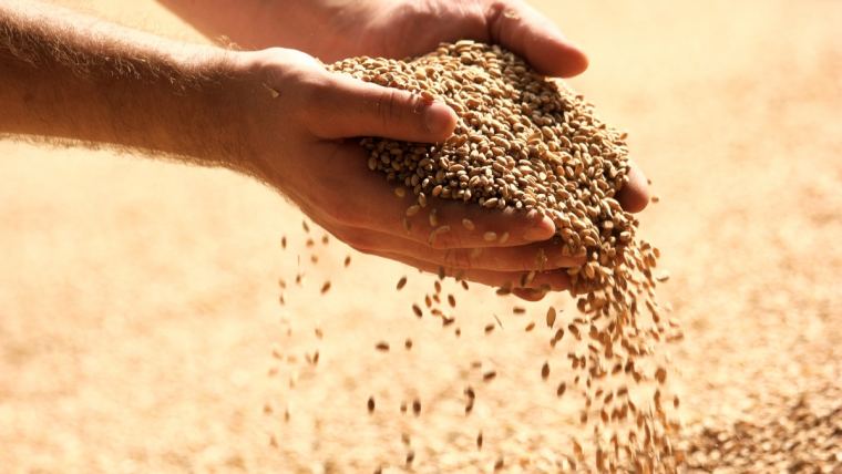 How to solve the greatest challenge in the feed industry | Alltech
