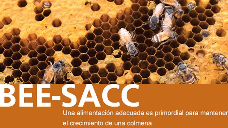 BEE-SACC - Alimento para colmenas