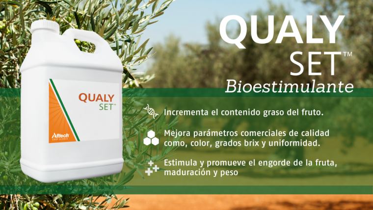 Aumenta el rendimiento graso de tu olivar con QUALY-SET™