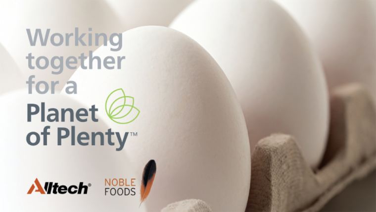 Driving sustainable egg production with Noble Foods